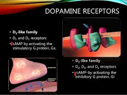 recettori della dopamina